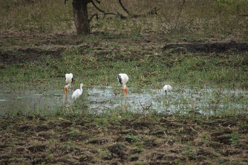 Viewing photos→2019→2019-02-04→081