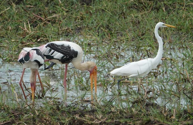 Viewing photos→2019→2019-02-04→084