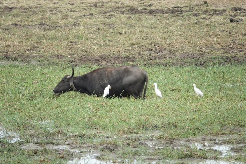 Viewing photos→2019→2019-02-04→088