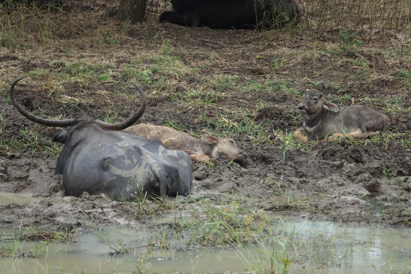 Viewing photos→2019→2019-02-04→091