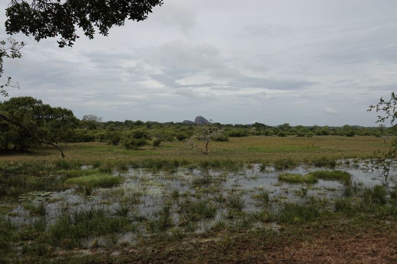 Viewing photos→2019→2019-02-04→108