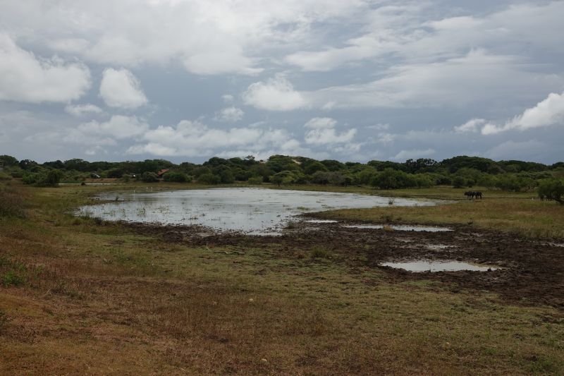 Viewing photos→2019→2019-02-04→117