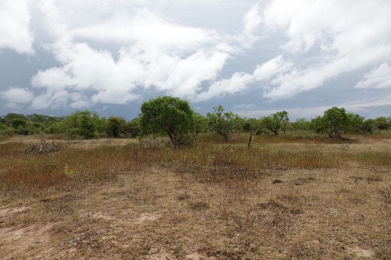 Viewing photos→2019→2019-02-04→122