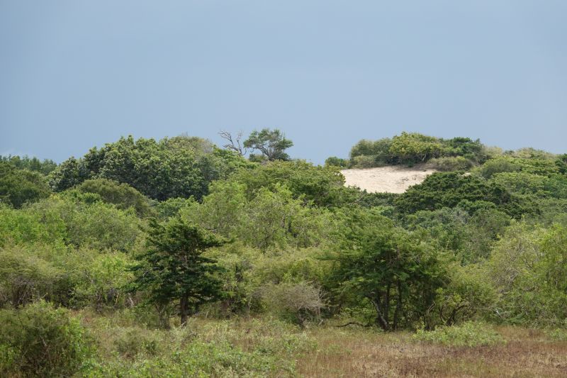 Viewing photos→2019→2019-02-04→123