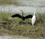 124.jpeg - 2019:02:04 05:22:33