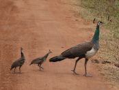 127.jpeg - 2019:02:04 05:26:26