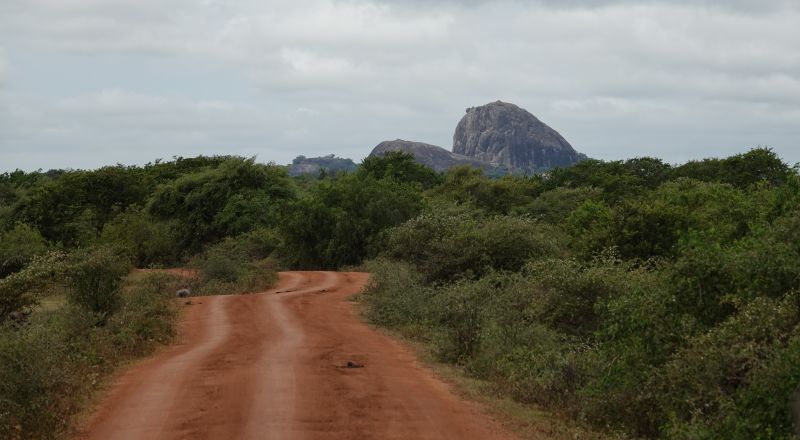 Viewing photos→2019→2019-02-04→129