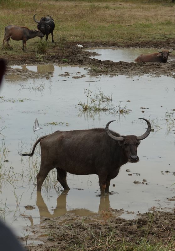 Viewing photos→2019→2019-02-04→131