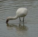 134.jpeg - 2019:02:04 05:29:55