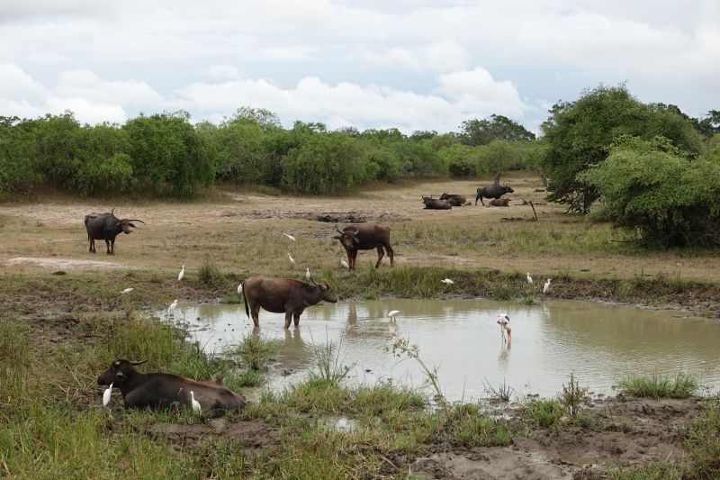 Viewing photos→2019→2019-02-04→136