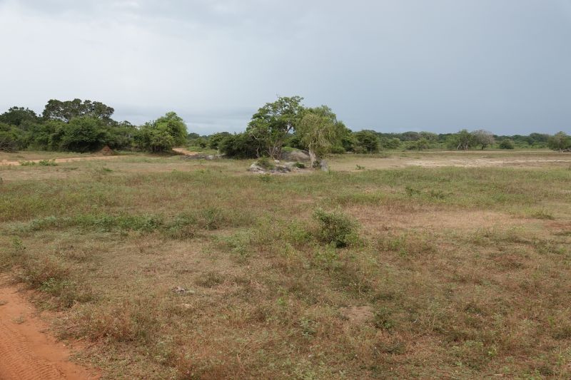 Viewing photos→2019→2019-02-04→139