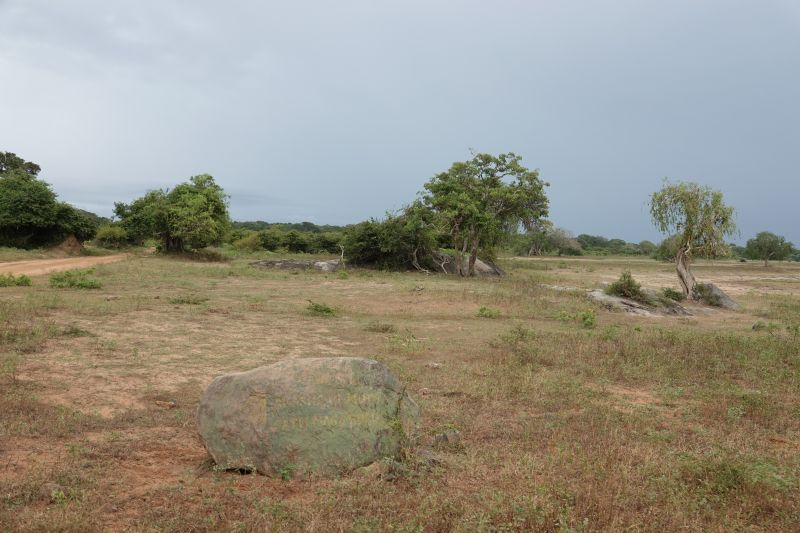 Viewing photos→2019→2019-02-04→140