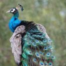 153.jpeg - 2019:02:04 09:04:17