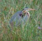 162.jpeg - 2019:02:04 09:19:44