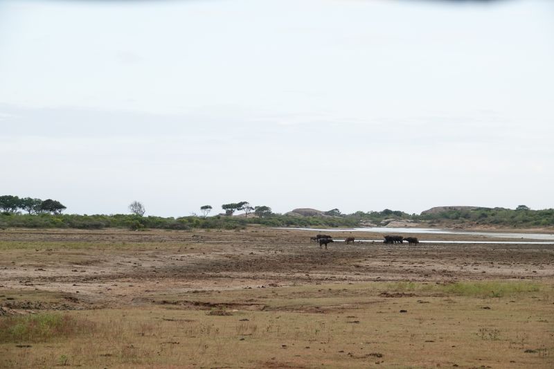 Viewing photos→2019→2019-02-04→173