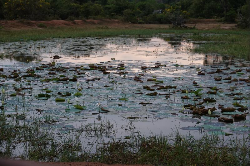 Viewing photos→2019→2019-02-04→174