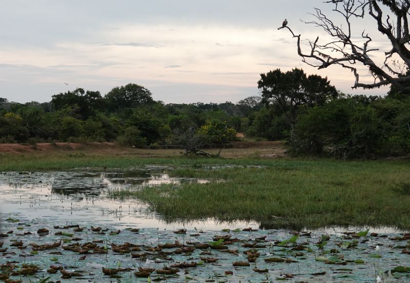 Viewing photos→2019→2019-02-04→175