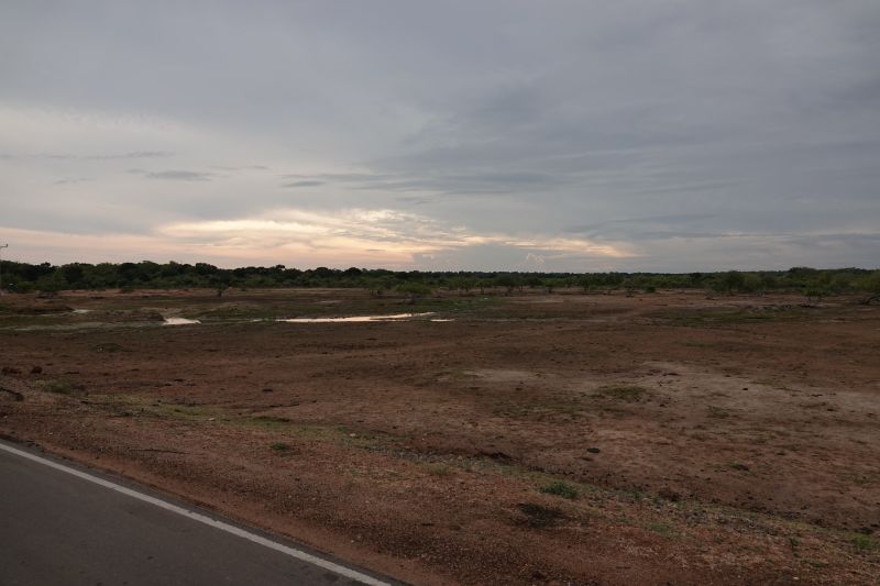 Viewing photos→2019→2019-02-04→180