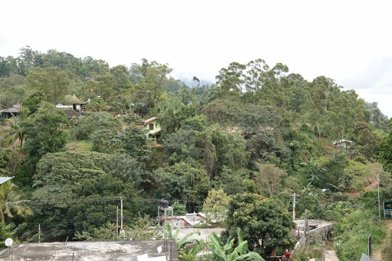 Viewing photos→2019→2019-02-05→001