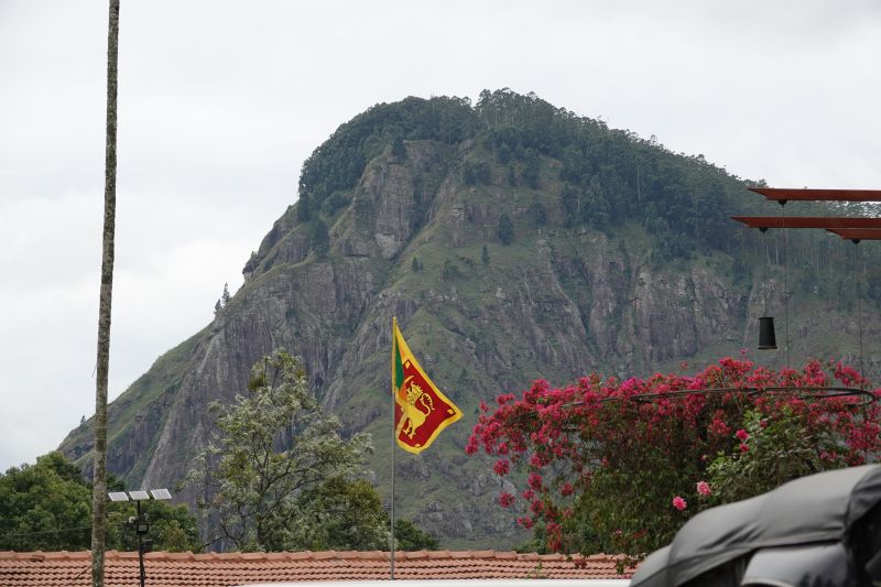 Viewing photos→2019→2019-02-05→003