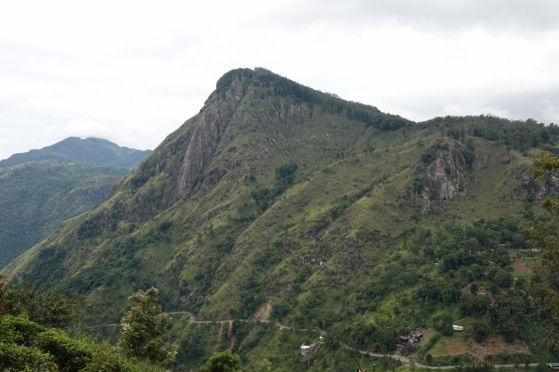 Viewing photos→2019→2019-02-05→005