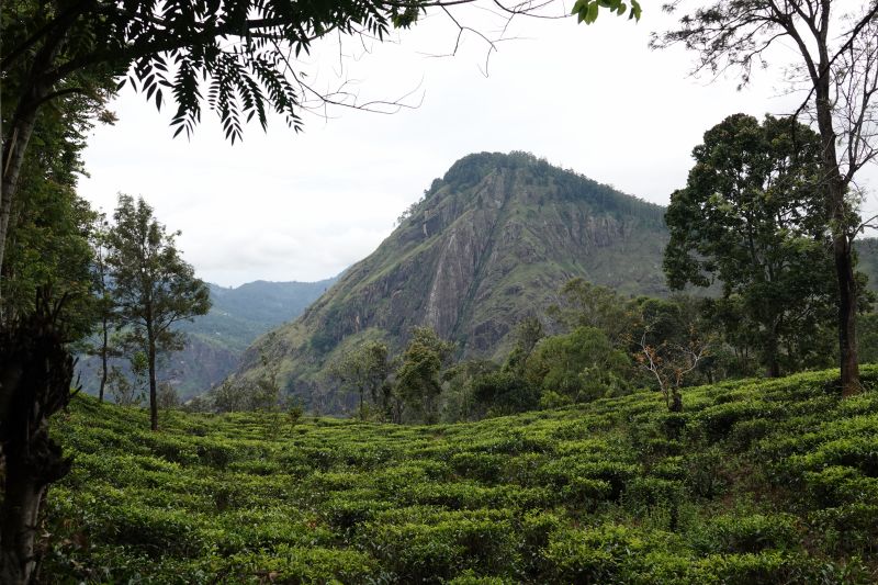 Viewing photos→2019→2019-02-05→008