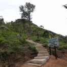 013.jpg - 2019:02:05 09:27:08