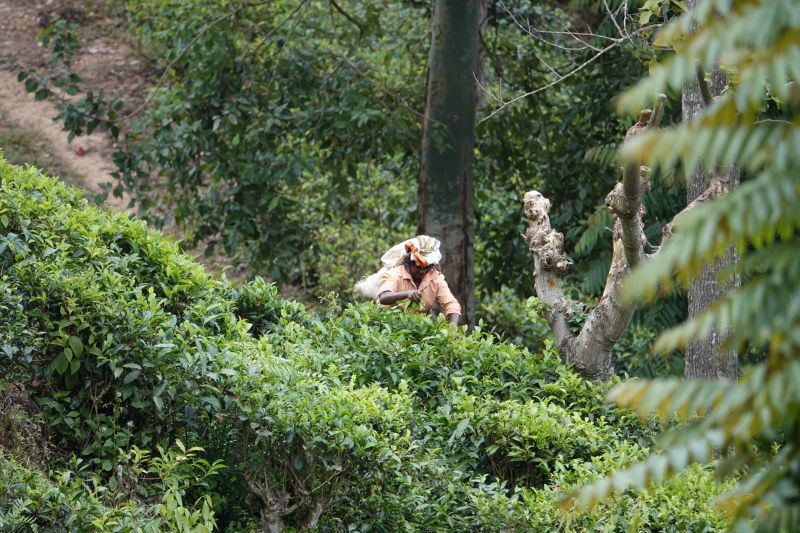 Viewing photos→2019→2019-02-05→015