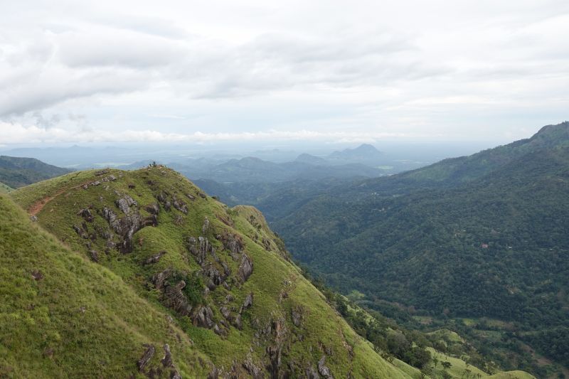 Viewing photos→2019→2019-02-05→020