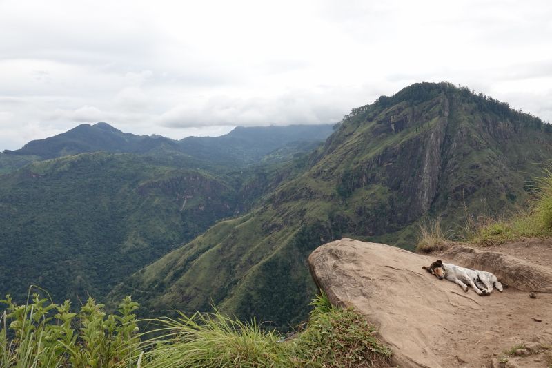 Viewing photos→2019→2019-02-05→021