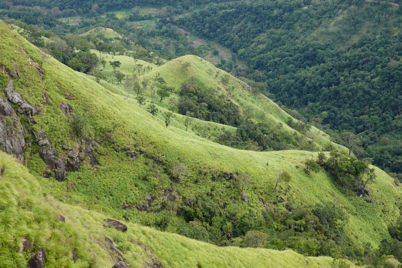 Viewing photos→2019→2019-02-05→023