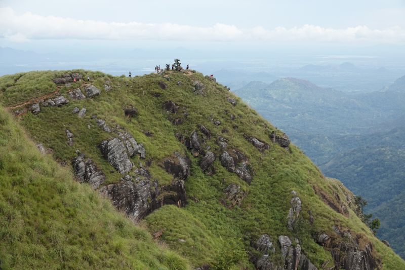 Viewing photos→2019→2019-02-05→024