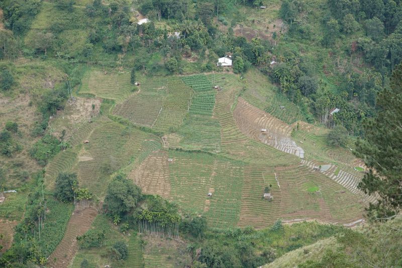 Viewing photos→2019→2019-02-05→026