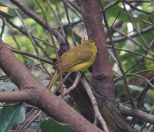 042.jpeg - 2019:02:06 06:23:43