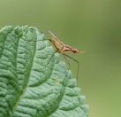 048.jpeg - 2019:02:06 06:32:49