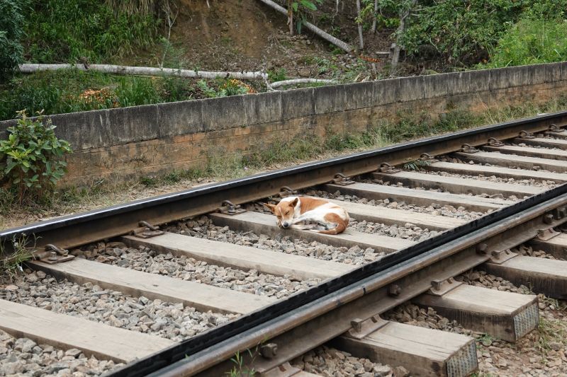 Viewing photos→2019→2019-02-05→051