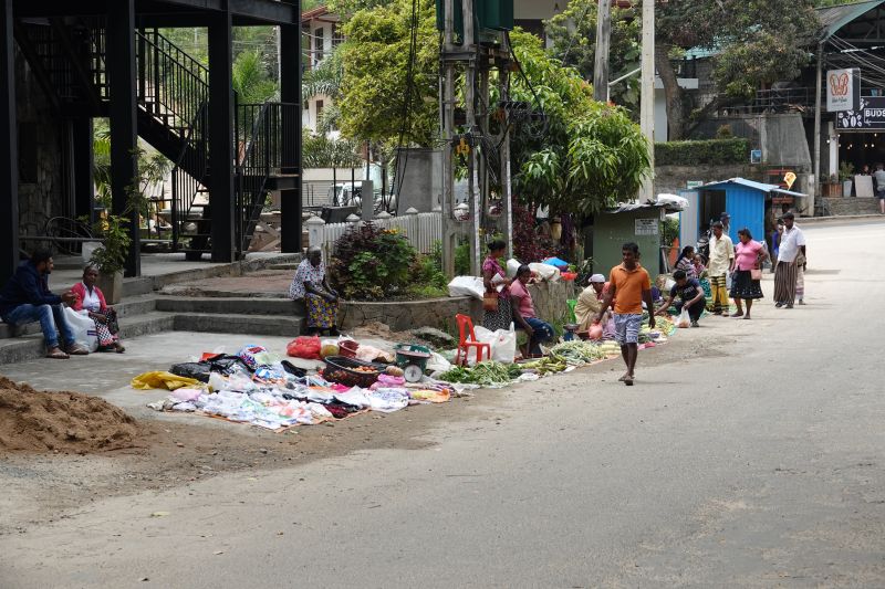 Viewing photos→2019→2019-02-05→056