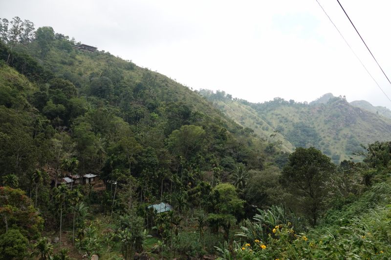 Viewing photos→2019→2019-02-05→071