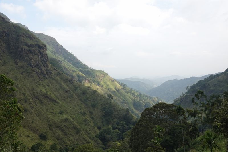 Viewing photos→2019→2019-02-05→077