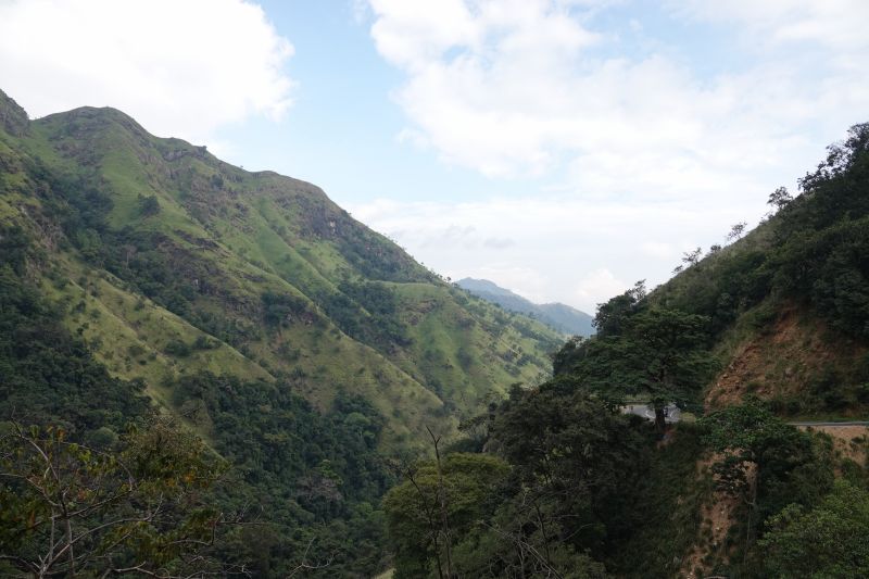 Viewing photos→2019→2019-02-05→081