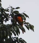 082.jpeg - 2019:02:06 10:27:12