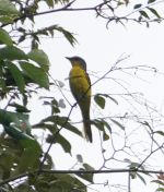 084.jpeg - 2019:02:06 10:27:21