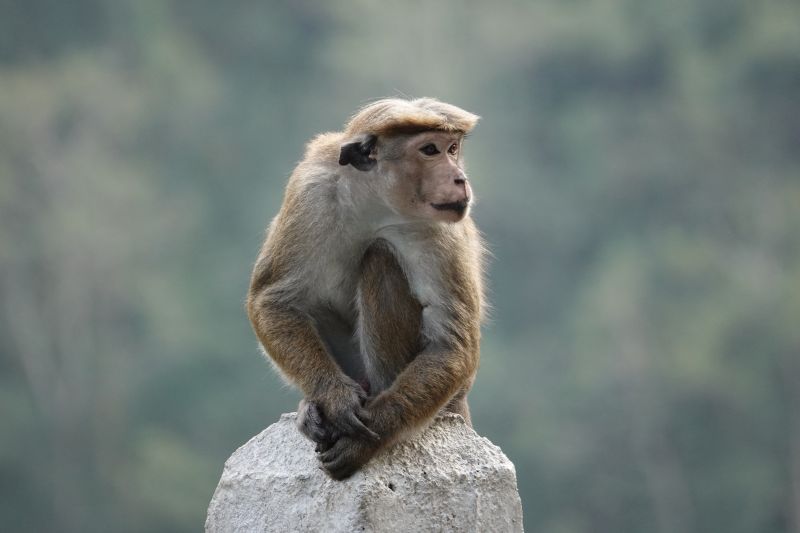 Viewing photos→2019→2019-02-05→089