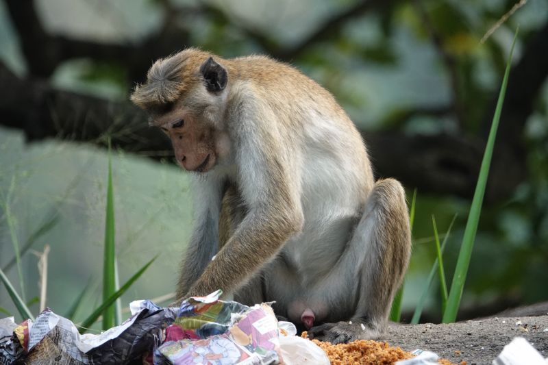 Viewing photos→2019→2019-02-05→090