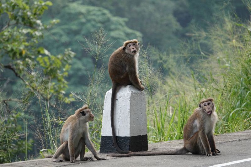 Viewing photos→2019→2019-02-05→092