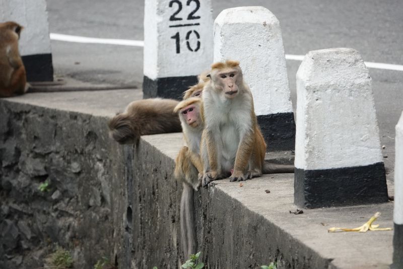 Viewing photos→2019→2019-02-05→096