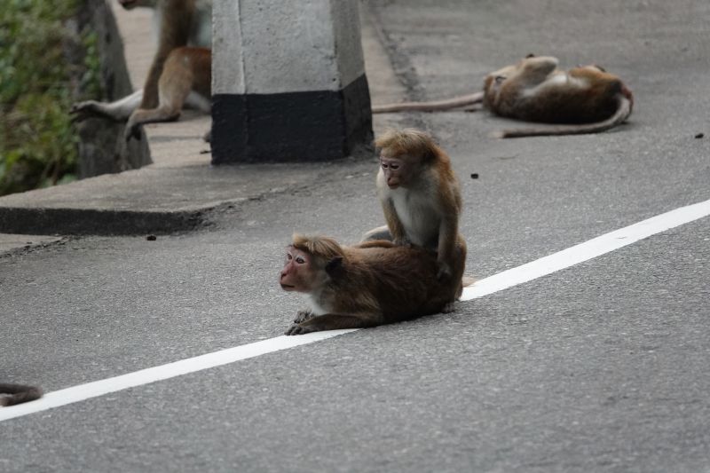 Viewing photos→2019→2019-02-05→098