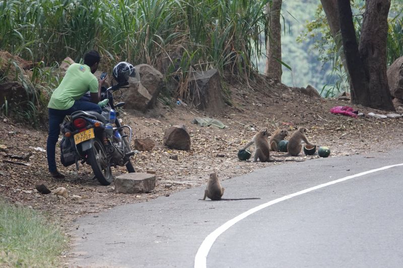 Viewing photos→2019→2019-02-05→101