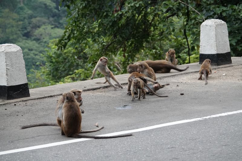 Viewing photos→2019→2019-02-05→102