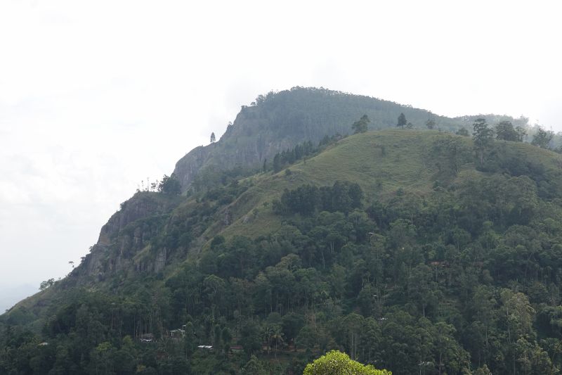 Viewing photos→2019→2019-02-05→110